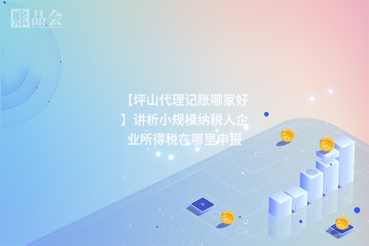 【坪山代理记账哪家好】讲析小规模纳税人企业所得税在哪里申报