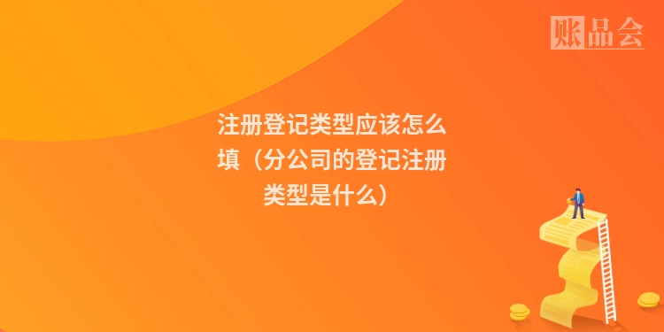 注册登记类型应该怎么填(分公司的登记注册类型是什么)