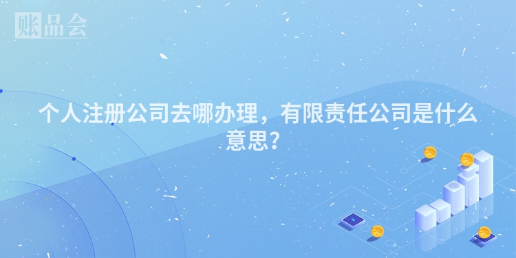 个人注册公司去哪办理,有限责任公司是什么意思?