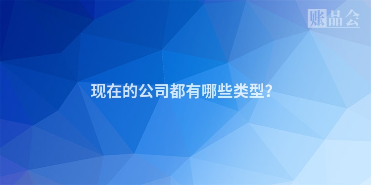 现在的公司都有哪些类型?